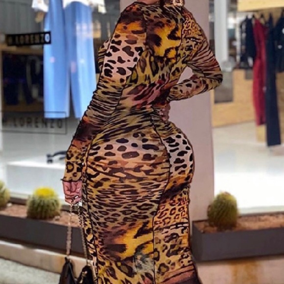 Taylor- Leopard printed round neck midi dress - Picture 2 of 2